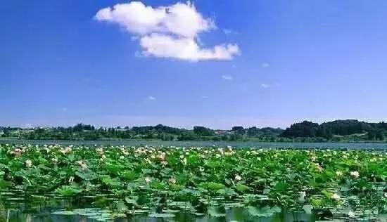 醉美华容?两年建设花园式生态美丽乡村!鄂州华容正在这么干