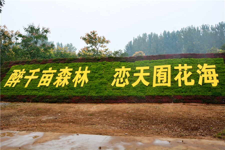 洛阳天囿牡丹园“网红花海欢乐节”隆重开幕