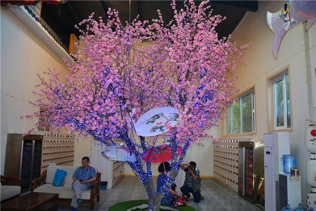 洛阳梦桃源温泉度假区、洛神岛景区迎双节推介联欢会圆满召开(图19)