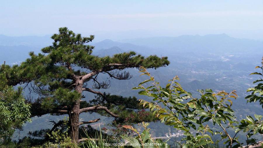 日落泰山陪李白,苍松霞彩鹤游仙 我相信真