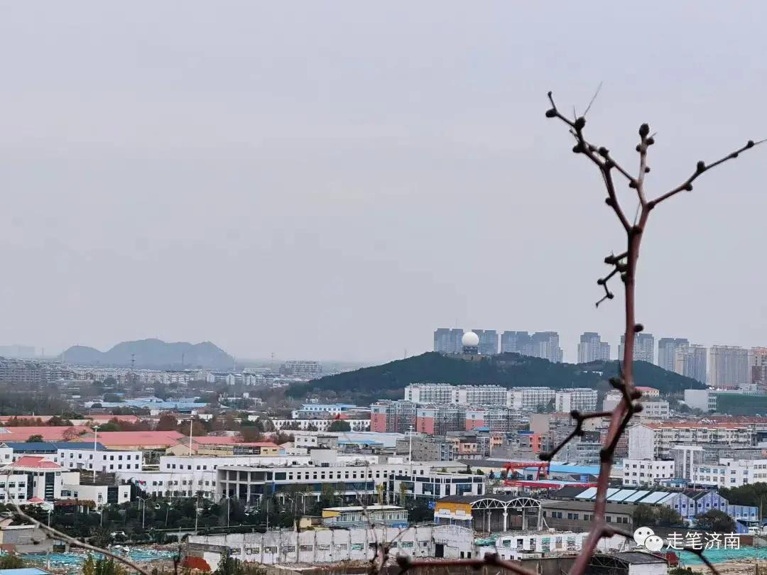 "蓝马甲"走进"胶济铁路博物馆"系列之五—济南府的山(下篇)