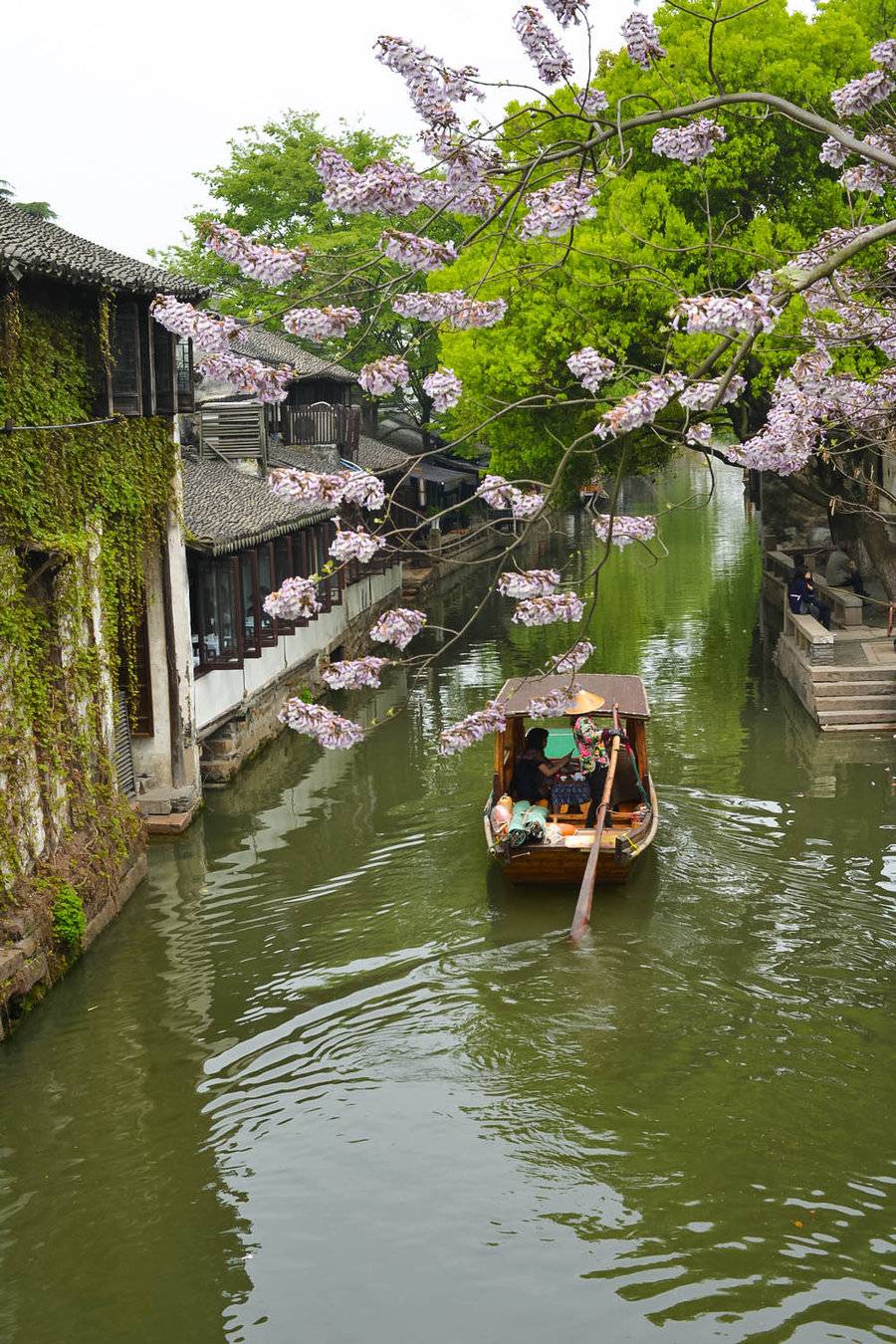 浪淘沙 水乡乌镇游