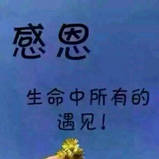 遇见                         是我的幸福 不求相逢 只求永远的陪伴