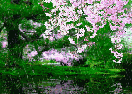 七绝细雨(外一首) 文/李松柱