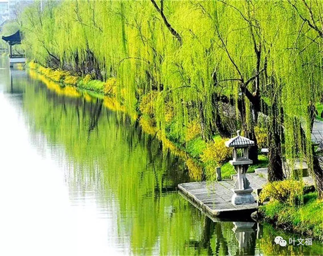 北京皇家园林·颐和园 风光摄影作品|摄影|动物|摄影师杨力 - 原创作品 - 站酷 (ZCOOL)