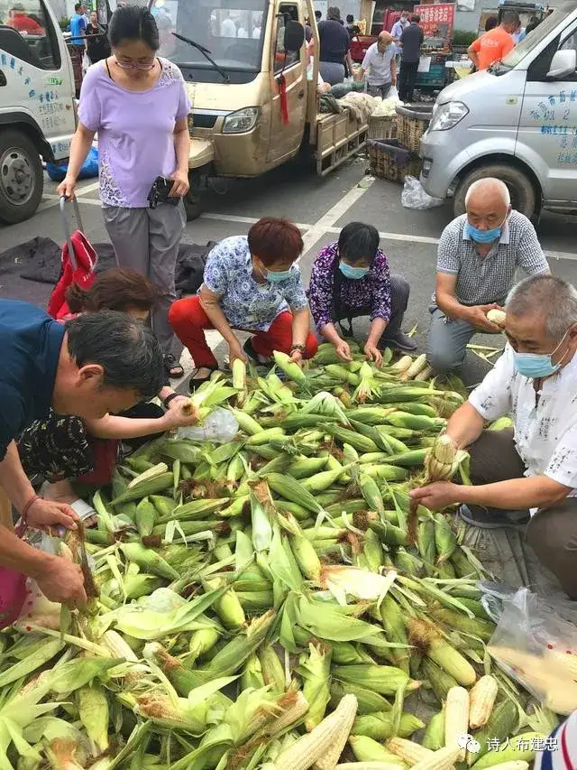 布建忠(小布丁):老东门早市,百姓购物的好地方