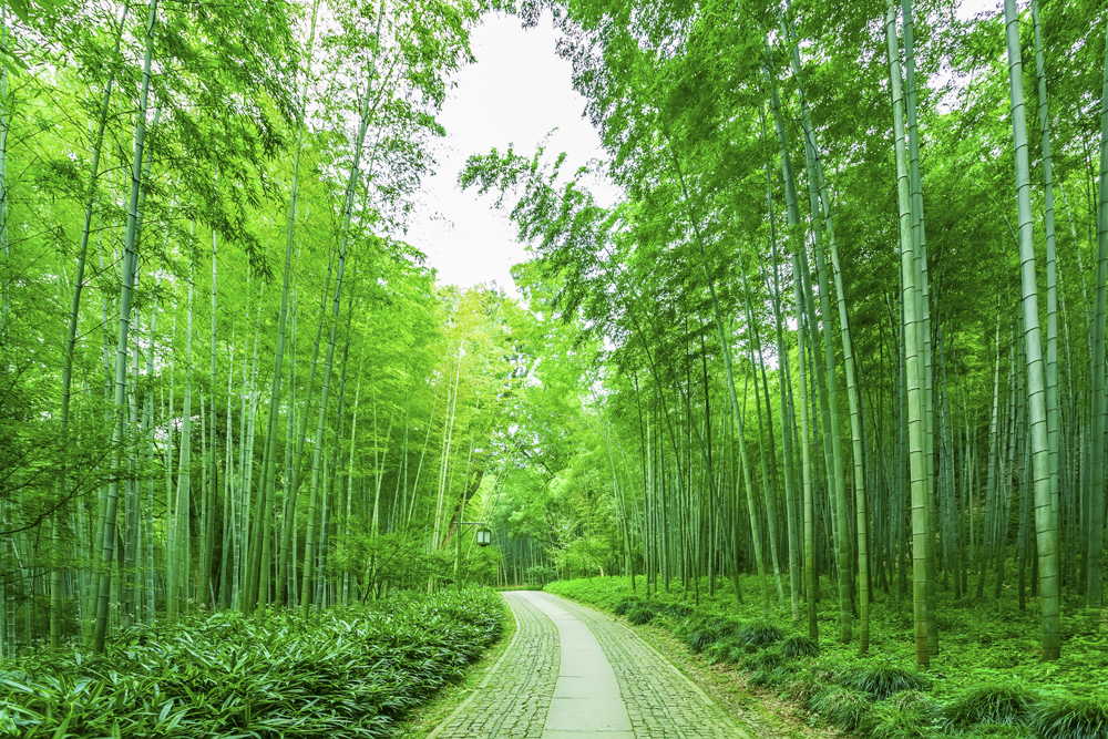 王应刚——— 《七律.
