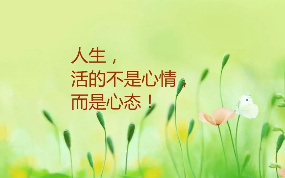 隋凌云——— 《亲爱的,我想对你说——致自己》——华夏思归客诗词