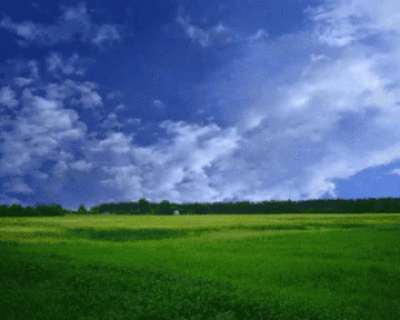 七言排律‖草原情深 文/赵文年(山东)