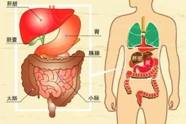 五行性理疗病之胃、脾、胰病症的心理对应规律