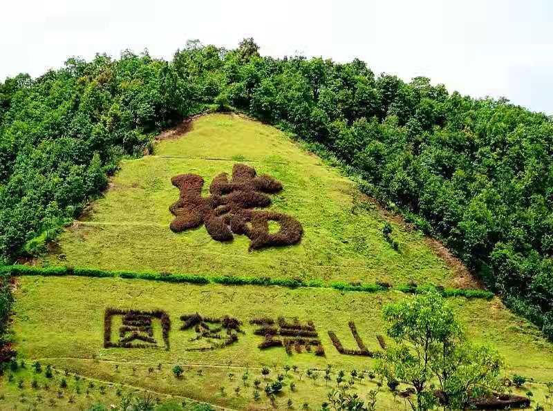 参加梅州市(大埔瑞山)第十九次百人诗会寄慨