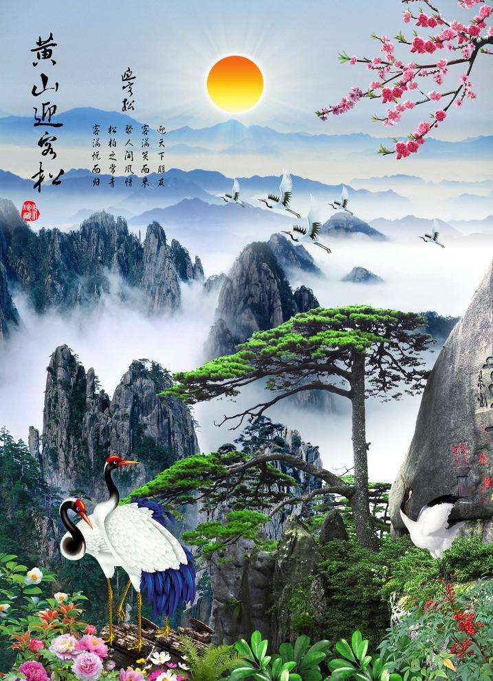 黄山迎客松 江苏‖张传浩