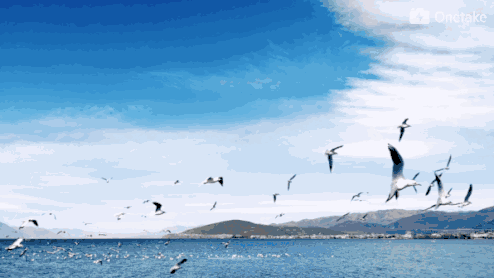 偶思兰州 文/寒山斜月