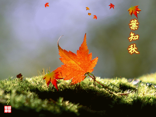 秋天到,秋风起,优美的诗句飘飘至.