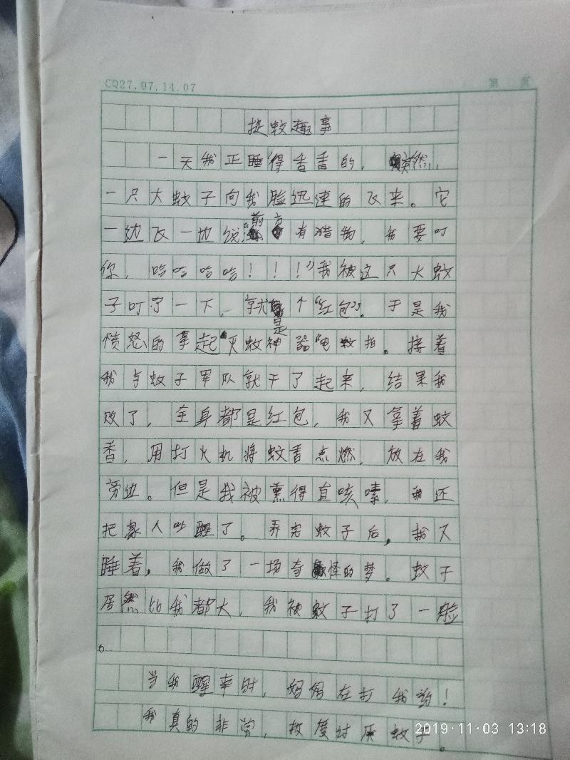 【浩然作文】《捉蚊趣事》作者⊙刘浩然