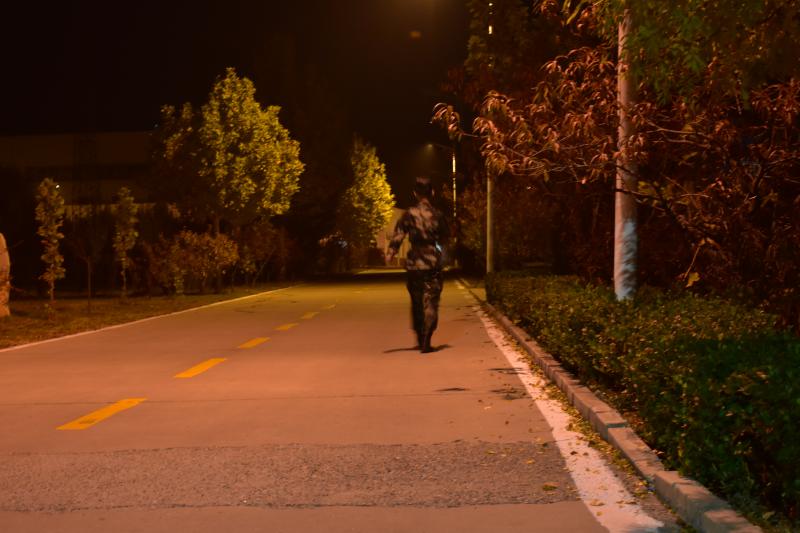 风为我写思念你的诗(外一首 文/彭春晓