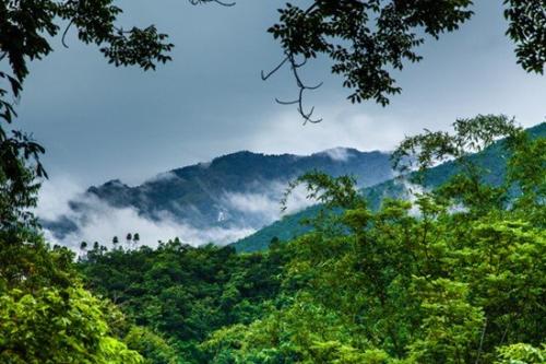 海浪撞击着南山寺的晚钟 潮汐轻吟着亚龙湾的静谧 太阳河流动着兴隆的