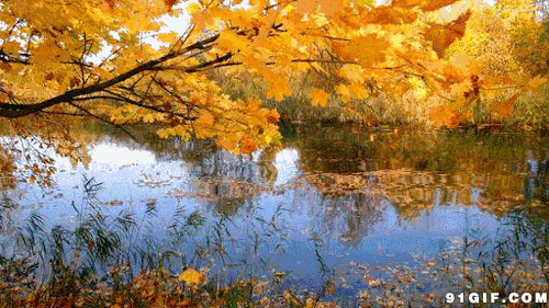 钟一鸣 诗词专集6