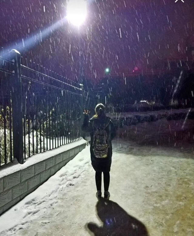 情 千牵念 夜 万籁寂静 洁白的精灵 在静夜里飞舞 小区霓虹的路灯下