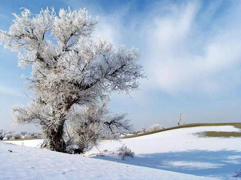 霍山瑞雪兆丰年