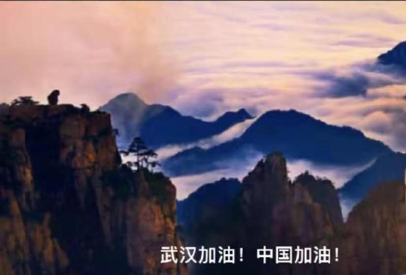 7F312F73-CD34-494D-B719-8B6F255DEAFA