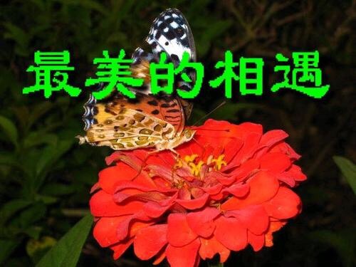 0B65DAA4-4169-487C-AC83-7195E93DE11F.