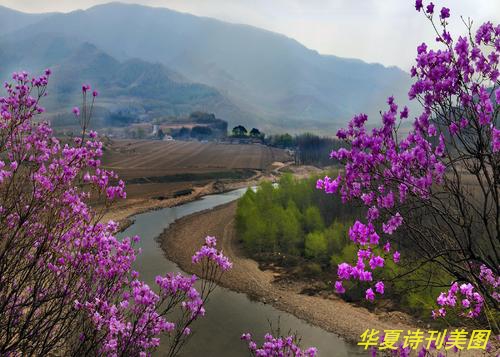 1581741452218056030.jpg 鏄ュ洖澶\u443湴.jpg