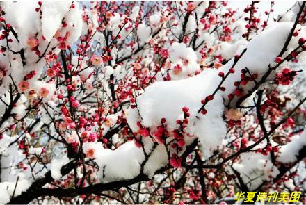 1581750882531081461.jpg u=647948104,207676876&fm=26&gp=0_鐪嬪浘鐜?.jpg