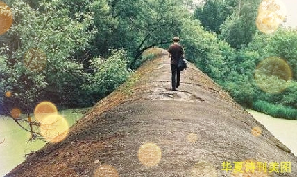 鐙.jpg