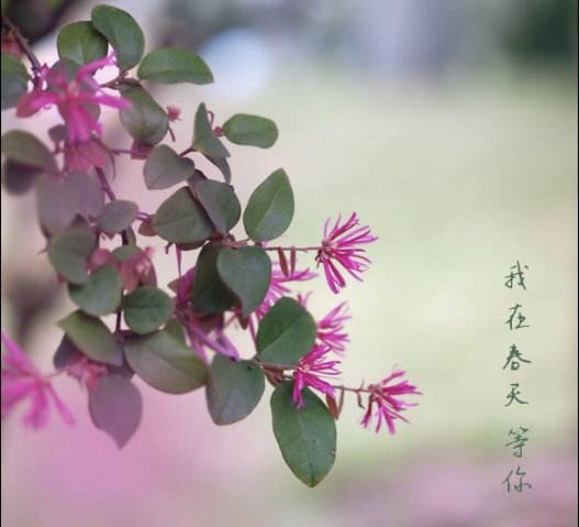 D7D04AC0-AC1A-48E2-9A47-D21AC836BAC2.