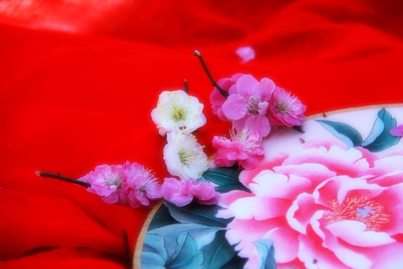 7D279B83-A120-4AE6-9CF6-84F1F3ADAD76.