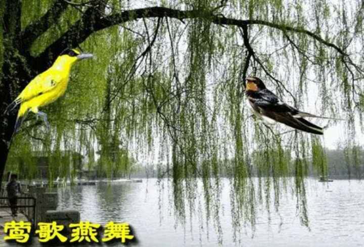 1582470202493065246.jpg 寰俊鍥剧墖_20200221233735.jpg