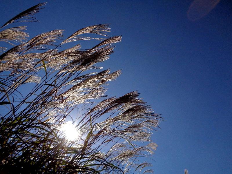 03a549097ec94a6e96db385d14c6f947..