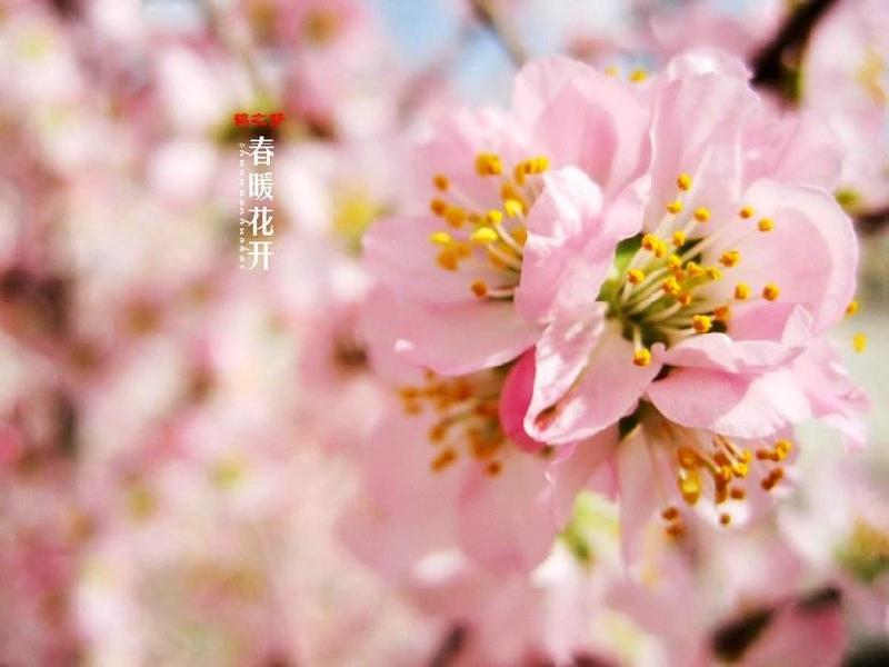 B8A6C324-E863-4A05-8D2C-CE7A9046CDE3.