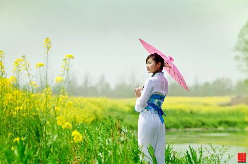 油菜è?.jpg