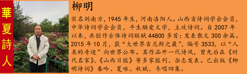 柳明.png