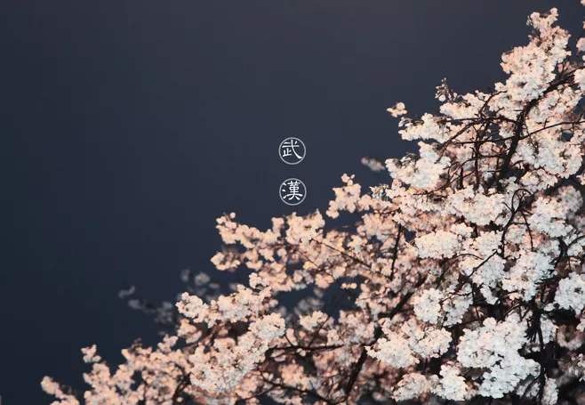 你的背影—献给牺牲在抗疫前线的白衣天使（图4）