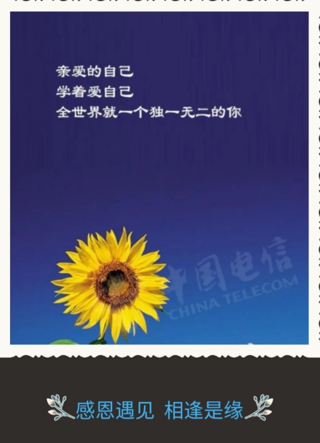 Screenshot_20200225_221433.