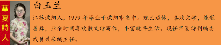 白玉å?.png