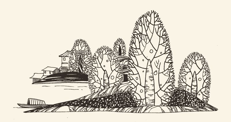 尾花 (21).
