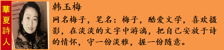 韩玉æ¢?.png