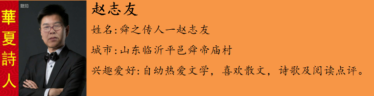 赵志å?.png