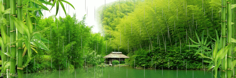 40863102-65F6-40DB-9432-E5A7E2B8F97B.