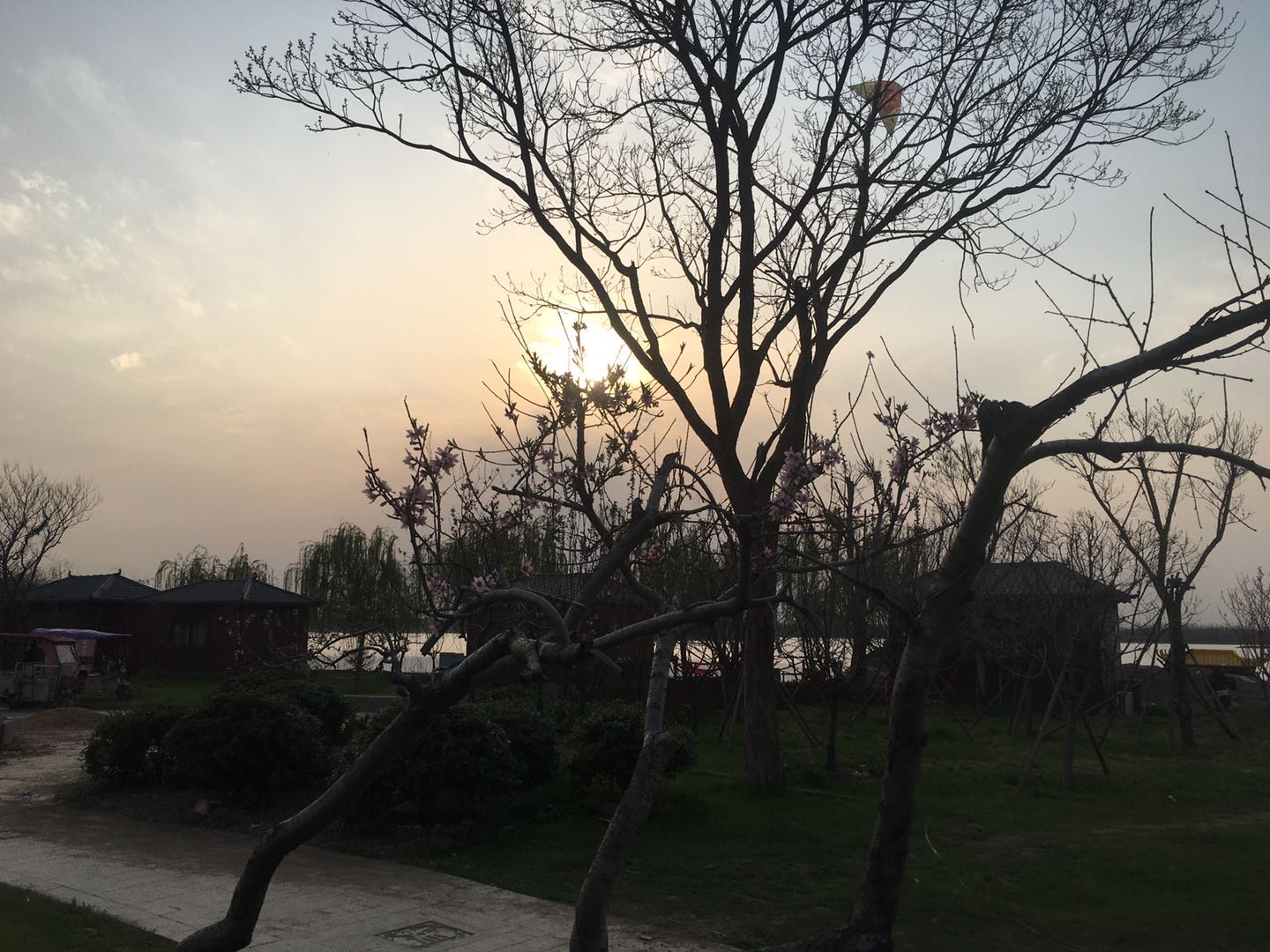 寰俊鍥剧墖_20200326155953.jpg