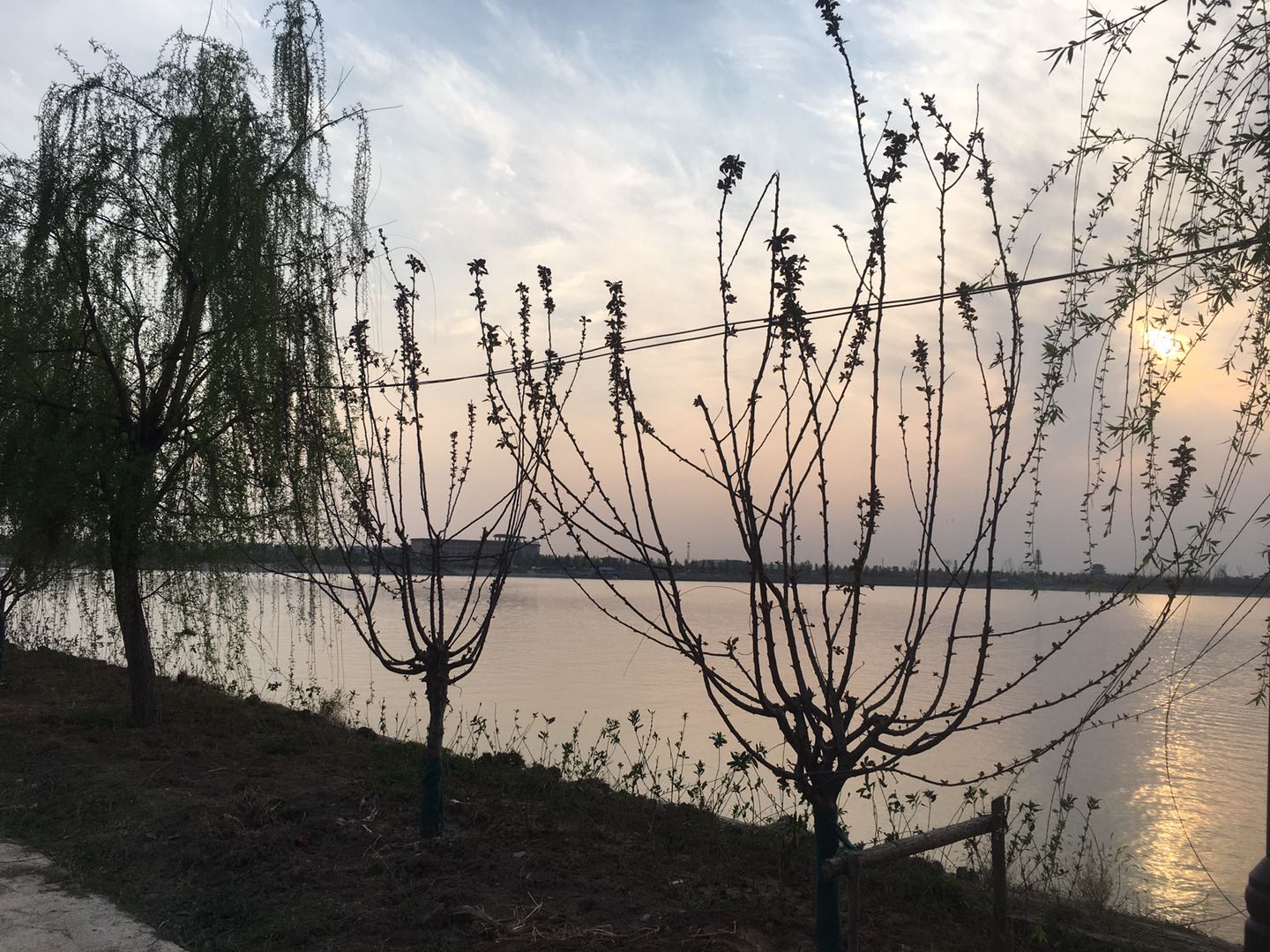 寰俊鍥剧墖_20200326160006.jpg