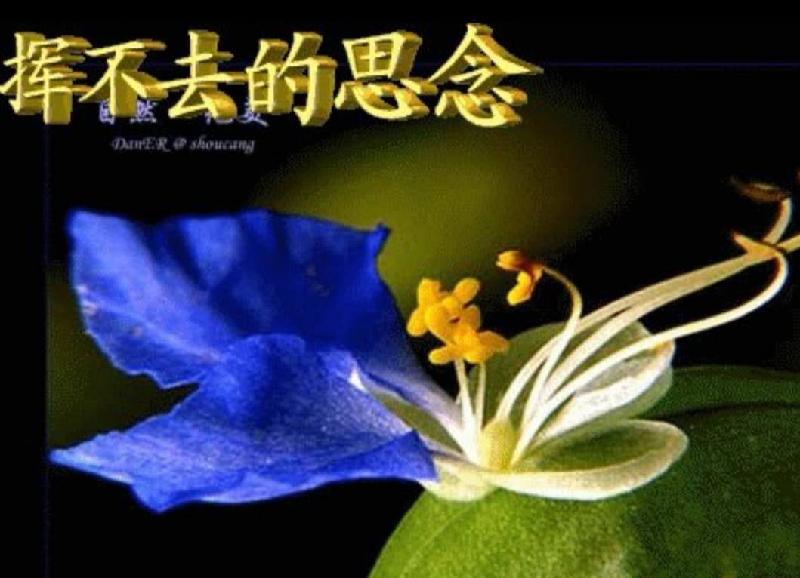 婆婆,叫您啦