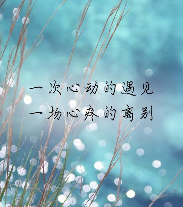 D2260E77-1B66-4C84-81BB-FC7BC777A58E.