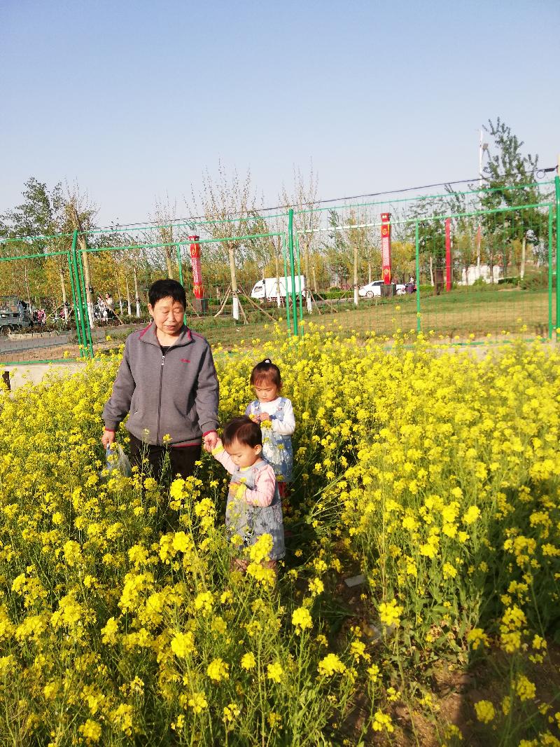 IMG_20200412_170139.