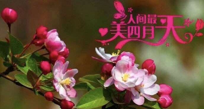 7B7555BD-5E0C-48C5-85C6-CE8C53BA0224.