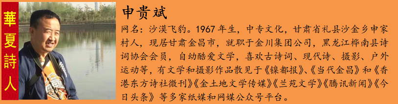 申贵æ?.png